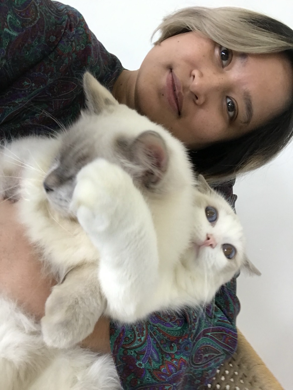 Guest with her cat at Maobulous Cat Boutique Hotel & Spa