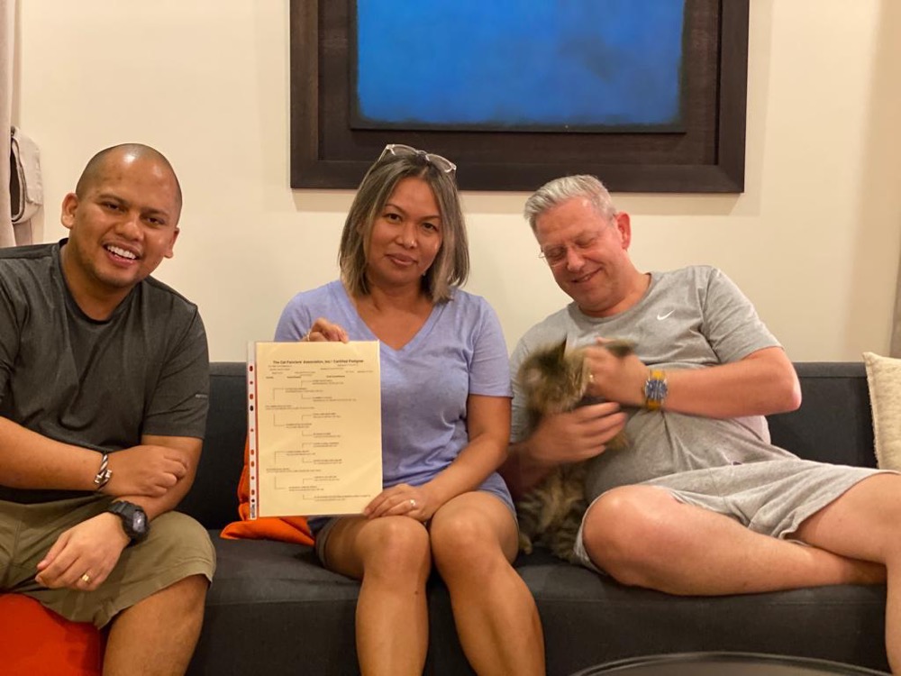 Guest with their cat at Maobulous Cat Boutique Hotel & Spa