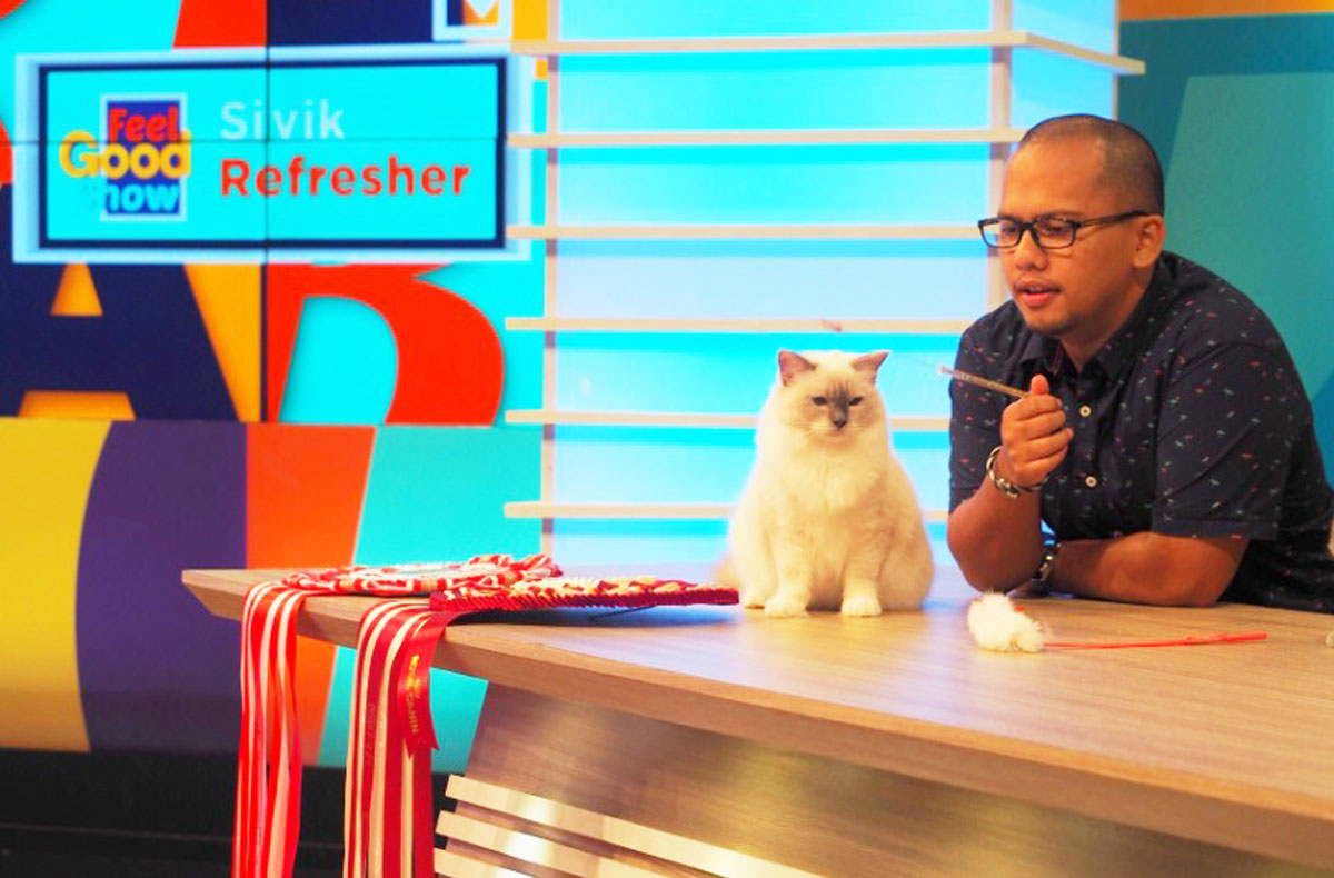 Feel Good Show TV segment featuring a Ragdoll cat from Maobulous