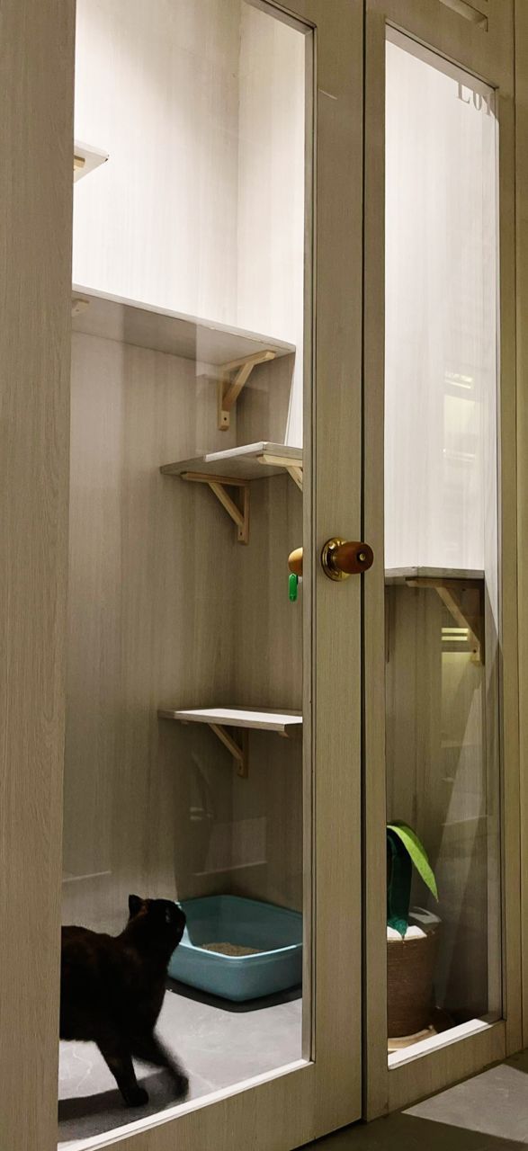 Boarding suite at Maobulous Cat Boutique Hotel & Spa, Kuala Lumpur branch